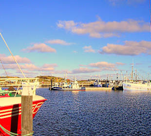 Im Hafen von Hvide Sande