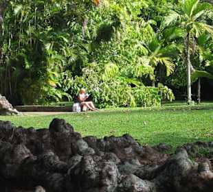 Pampelmuse Garden