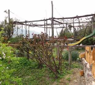 Spielplatz und Terrasse