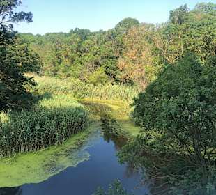 Naturschutzgebiet Baltata