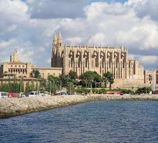 Blick vom Hafen auf die Catedral de Mallorca