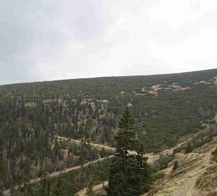 Berg Schneekoppe/Śnieżka