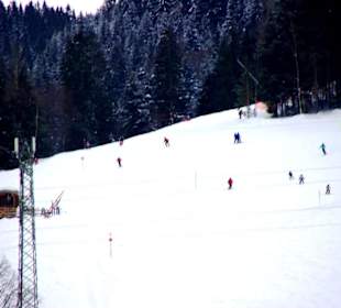 Scheffau/Skigebiet im Bild
