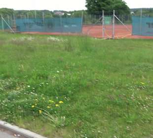 Tennisplatz Empfingen