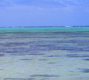 La spiaggia principale di Aitutaki