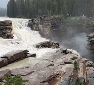 Athabasca Fälle