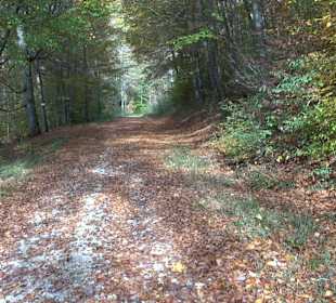 Wandertour "Rund um den Rossberg" Öschingen