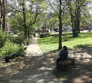 Rheinisches Landesmuseum 