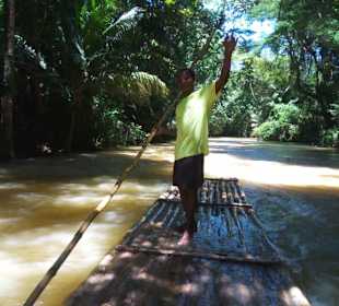 Auf dem Fluß, Natur pur