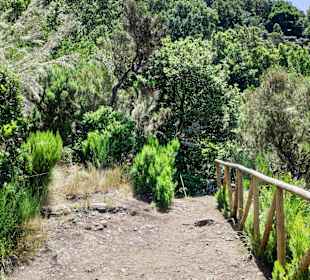 Wandern Funchal