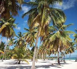 Canto de la Playa - Seavis Tours