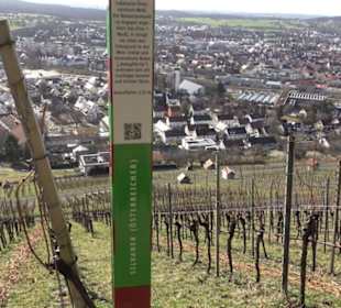 Wanderung Florianrunde