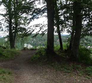 Burg Alt-Lichtenstein