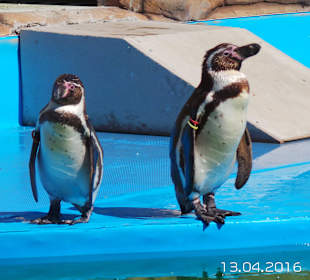 Discovery Park Manavgat