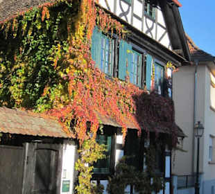 Altstadt Lauterbourg 