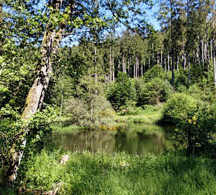 Wandern Deudesfeld