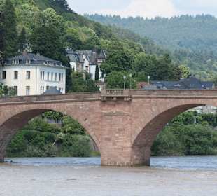 Blick zur Altem Brücke von Heidelberg