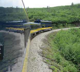Mit der Train in der Natur Alaskas