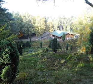 Wildparkimpressionen