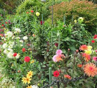Im Butchart Garden unterwegs
