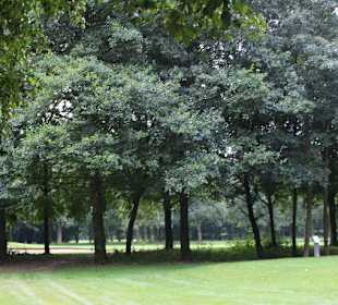 Faiways GC Ravensburger Land in Enger