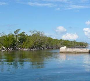 Wilde Inseln im Meer