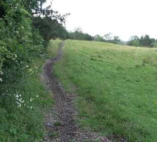 Naturschutzgebiet Zollerhalde Zimmern