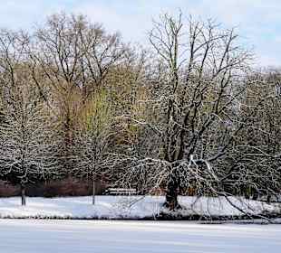 Winterspaziergang durch den Bürgerpark