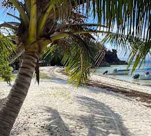 Insel Curieuse