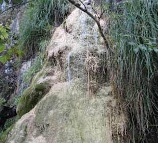 Quelltuff Naturlehrpfad