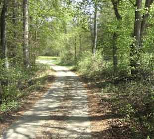 Waldlehrpfad an der Lauter