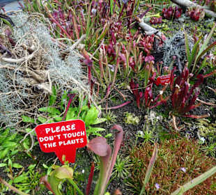 Stadtrundgang Sydney