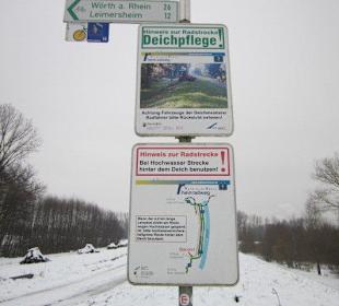 Am Rheindamm im Winter