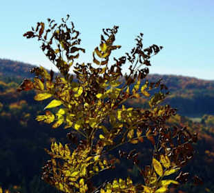 Das sagt doch alles oder....