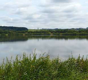 1,5 Stunden um den See