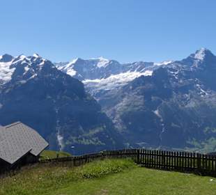Wetterhorn und Schreckhorn 