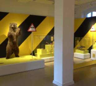 Museum Natur und Mensch