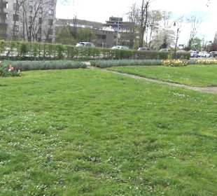 Rosengarten Offenburg