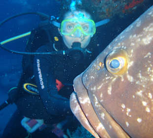 Las maravillas del mar