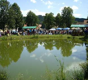 Holašovice trh