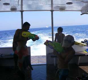 Delfintour-Spaß an Bord