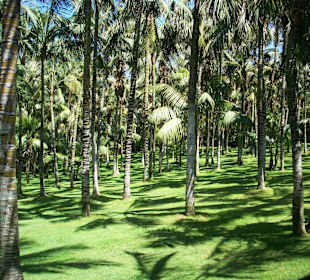Schönes Teneriffa (Loro Park)