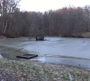 Wanderung rund um den Ochsenweiher
