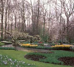 Blumenpracht im Keukenhof / Holland