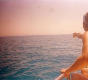 Da, ich glaub es nicht!