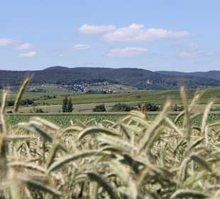 Wandern Kapellen-Drusweiler