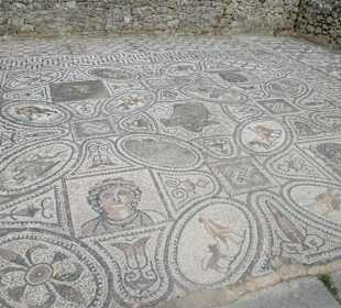 Bodenmosaik in Volubilis