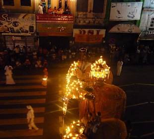 Elefant mit dem Zahn Buddhas