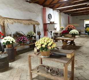 Der Besitzer ist ein Rosenfreund