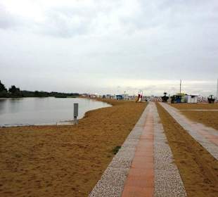 Gehplatten links mit Hund rechts ohne